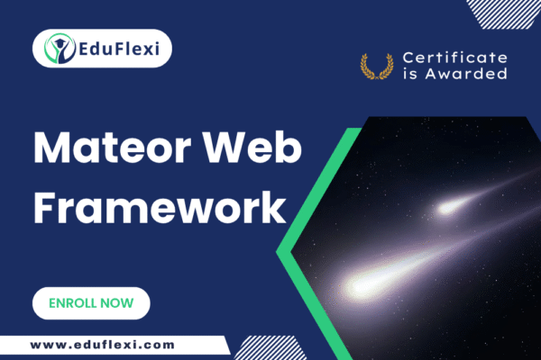 Meteor Web Framework for Beginners!